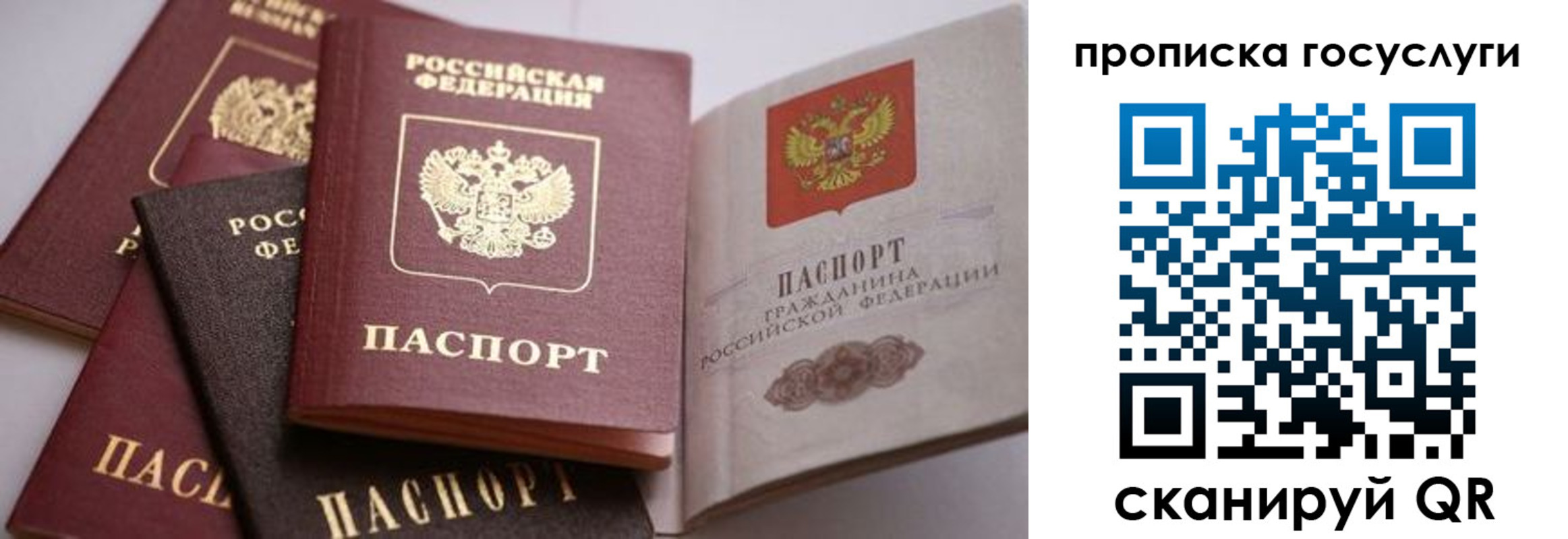 прописка иностранных граждан в Черногорске