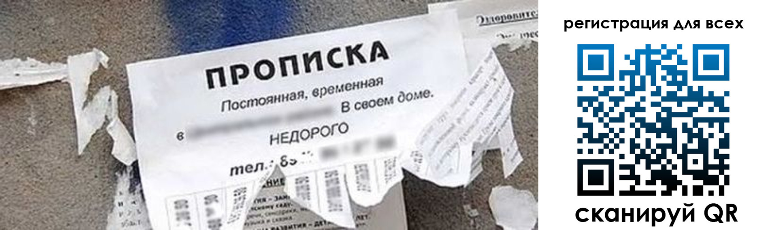 прописка поиск в Черногорске